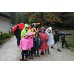 k-IMG_1931.jpg